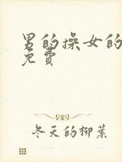 男的操女的视频免费