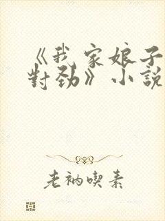 《我家娘子,不对劲》小说