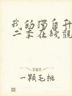 我的独自升级第二季在线观看