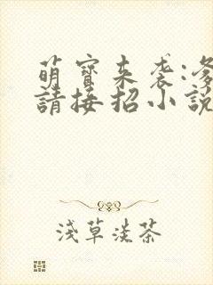 萌宝来袭:爹地请接招小说