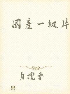 国产一级片内射