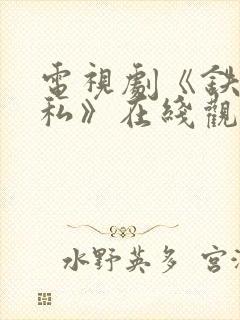 电视剧《铁面无私》在线观看全集