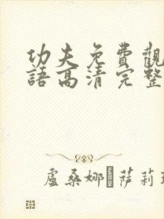 功夫免费观看国语高清完整版下载