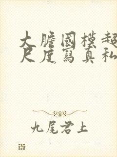 大胆国模超超大尺度写真私拍在线播放