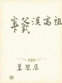 家父汉高祖全本下载封面