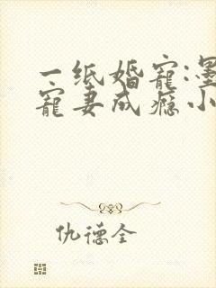 一纸婚宠:墨少宠妻成瘾小说