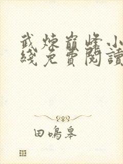 武炼巅峰小说在线免费阅读