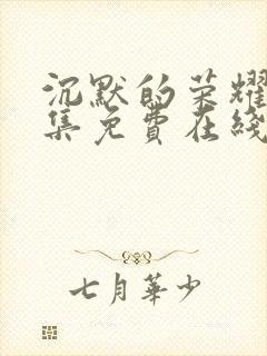 沉默的荣耀40集免费在线观看