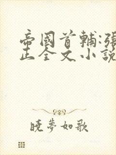 帝国首辅:张居正全文小说阅读全文