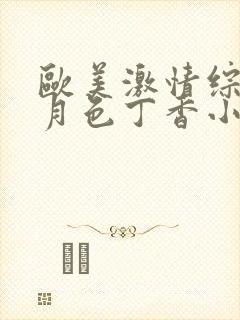 欧美激情综合五月色丁香小说