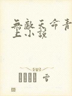 无敌天命青鸾峰上小说