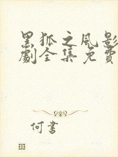 黑狐之风影电视剧全集免费观看