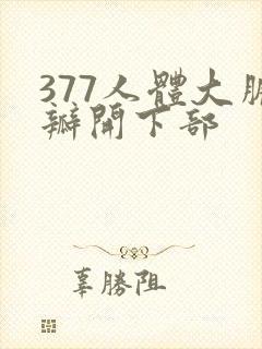 377人体大胆瓣开下部
