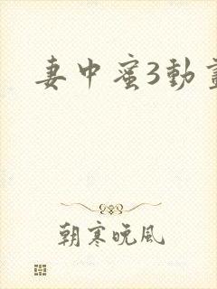 妻中蜜3动画