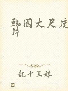韩国大尺度理伦片