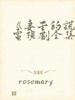 《妻子的谎言》电视剧全集播放