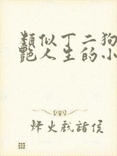 类似丁二狗的猎艳人生的小说