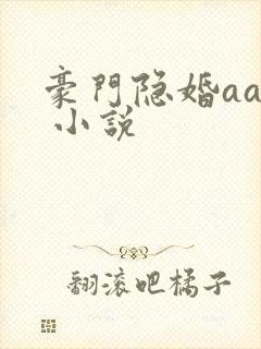 豪门隐婚aa制 小说