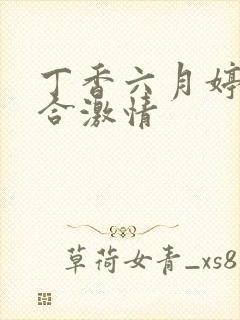 丁香六月婷婷综合激情