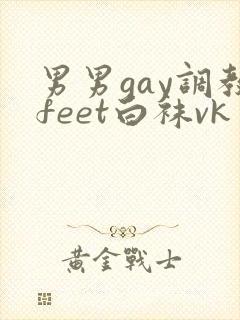 男男gay调教feet白袜vk