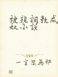 被亲调教成她的奴小说封面