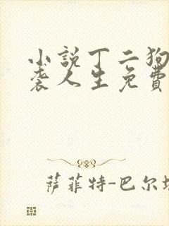 小说丁二狗的逆袭人生免费阅读