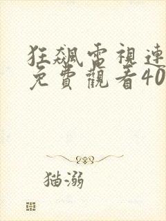 狂飙电视连续剧免费观看40集
