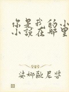 你是我的小确幸小说在哪里可以看封面