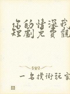 你的情深我不配短剧免费观看高清