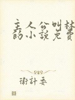 主人公叫林不悔的小说免费阅读