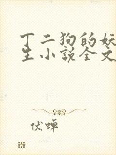 丁二狗的妖孽人生小说全文无删减