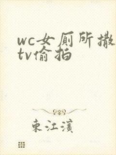 wc女厕所撒尿tv偷拍