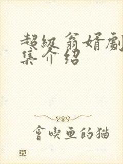 超级翁婿剧情分集介绍封面