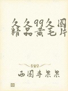 久久99久国产精品黄毛片入口封面