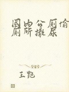 国内公厕偷拍女厕所撒尿