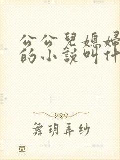 公公儿媳妇扒灰的小说叫什么