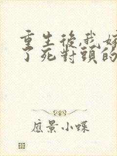 重生后,我嫁给了死对头的未婚夫全