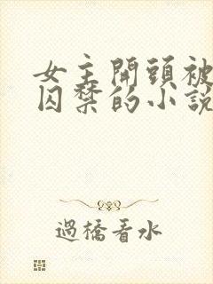 女主开头被锁链囚禁的小说