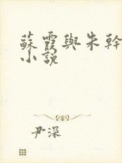 苏霞与朱干原著小说