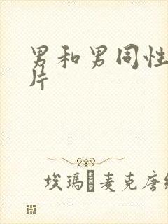 男和男同性黄色片