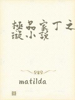 极品家丁之肖青璇小说