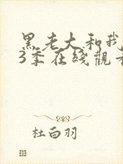 黑老大和我的第3季在线观看全集免费高清