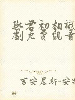 与君初相识电视剧免费观看完整版在线