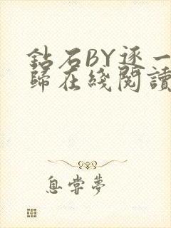 钻石BY逐一而归在线阅读