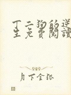 丁二狗的逆袭人生免费阅读