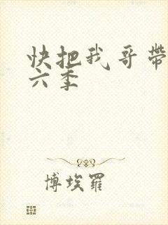 快把我哥带走第六季封面