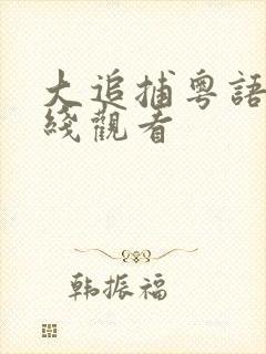 大追捕粤语版在线观看