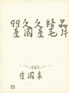 99久久精品国产国产毛片