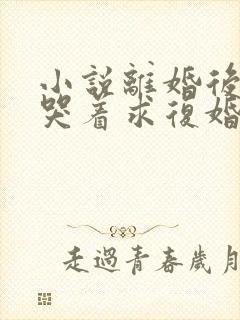 小说离婚后前夫哭着求复婚txt下载