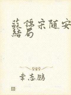 苏锦宋随安最后结局封面